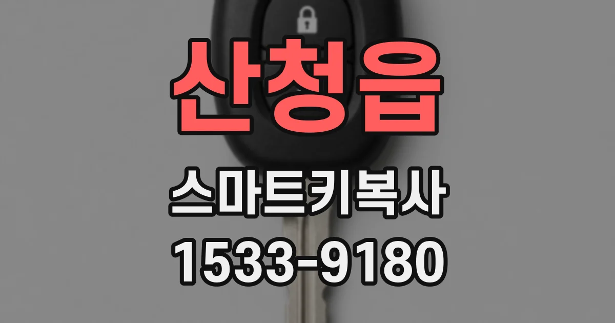 산청읍 스마트키복사