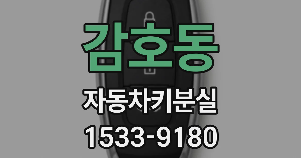 감호동 자동차키분실