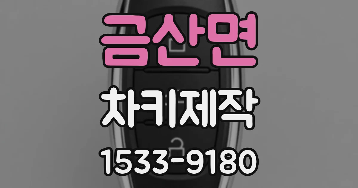 금산면 차키제작