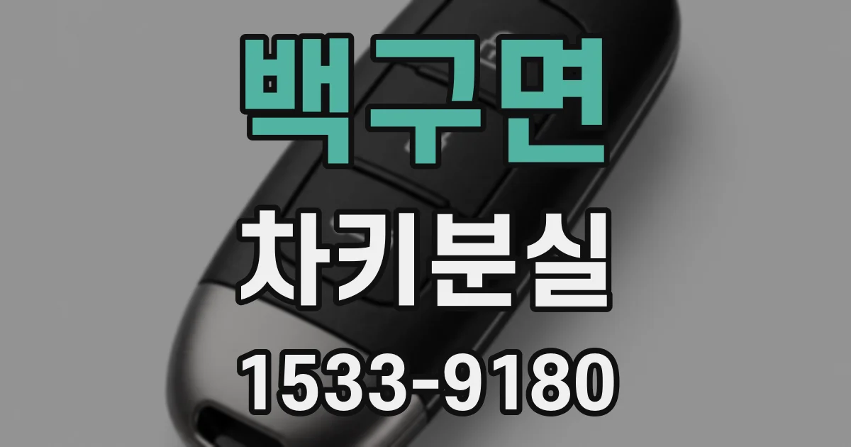 백구면 차키분실