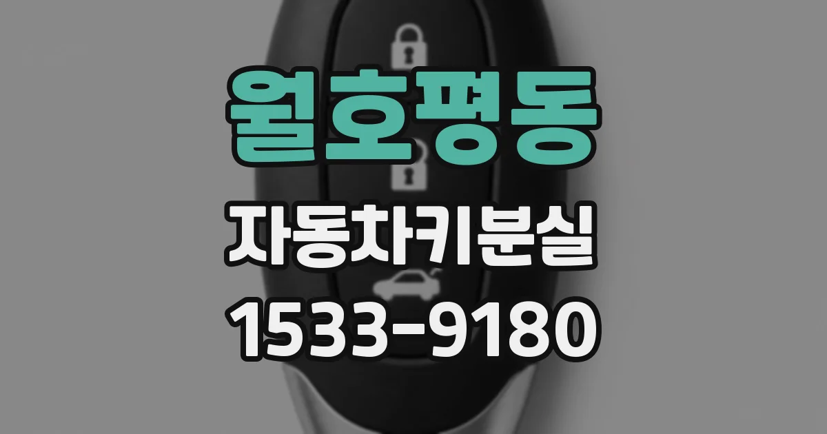 월호평동 자동차키분실