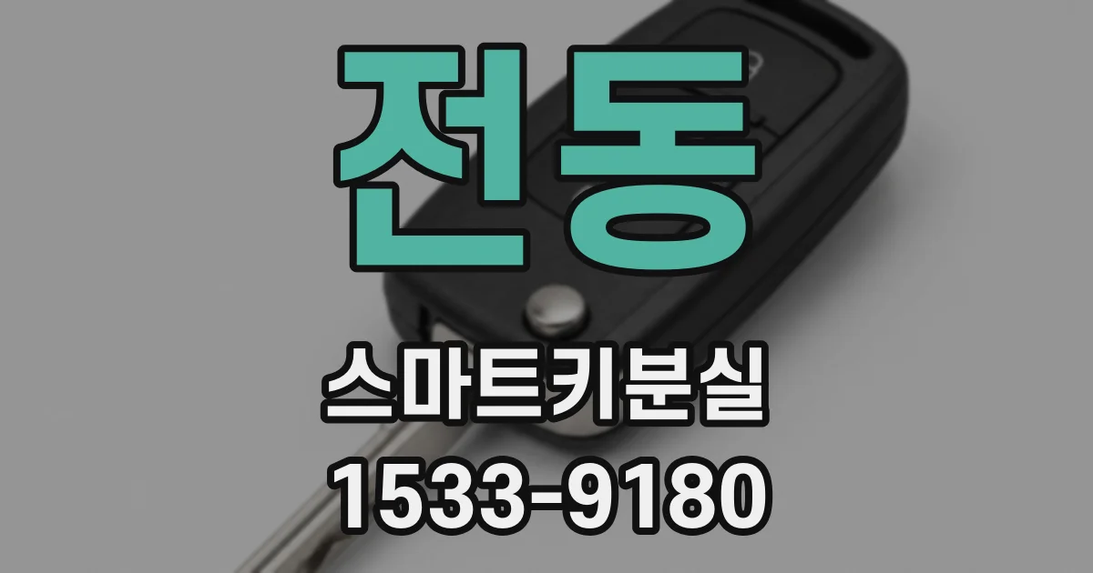 전동 스마트키분실