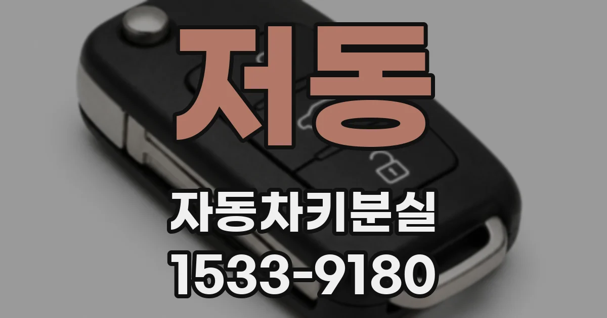 저동 자동차키분실