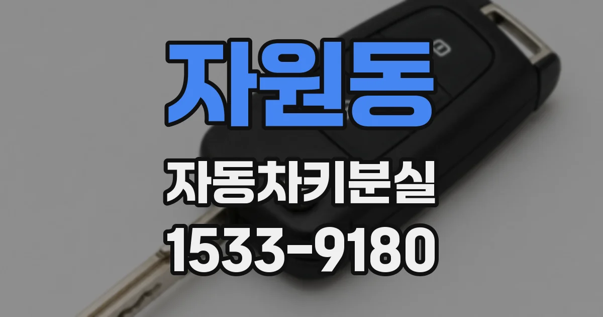 자원동 자동차키분실