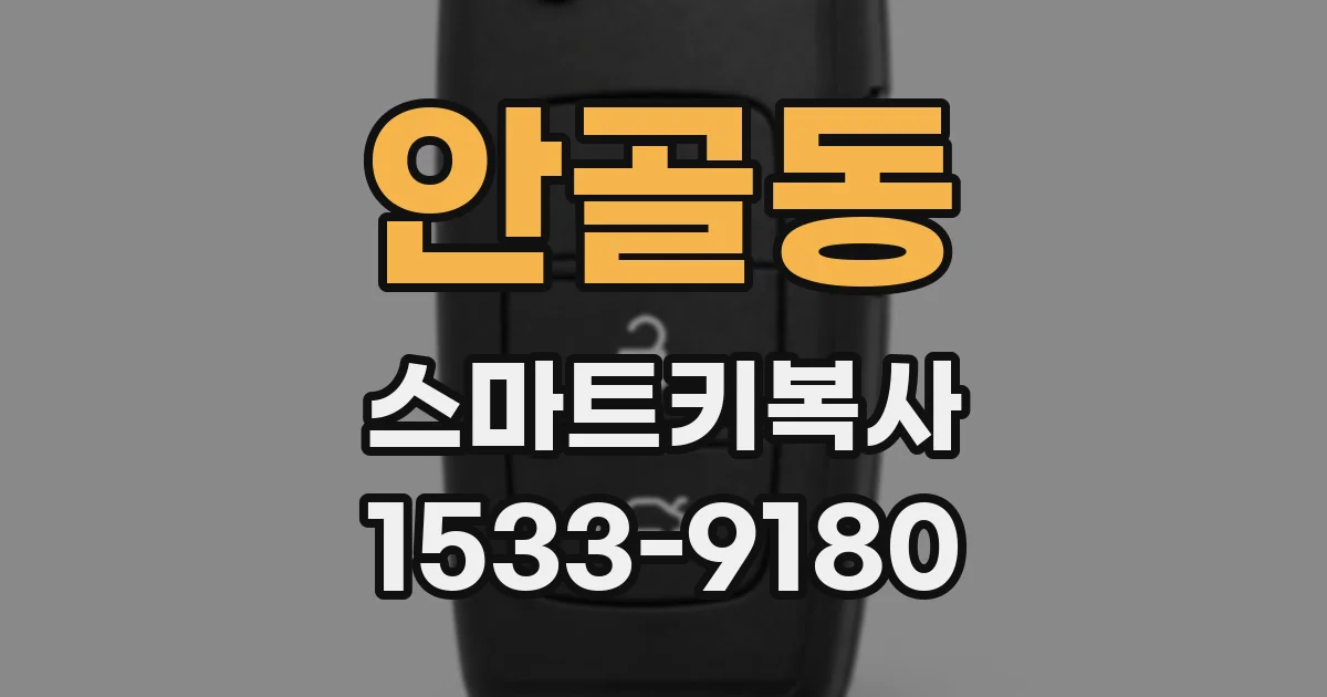 안골동 스마트키복사