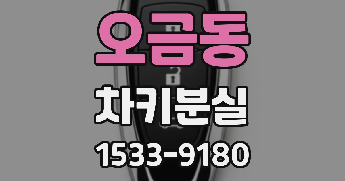 오금동 차키분실
