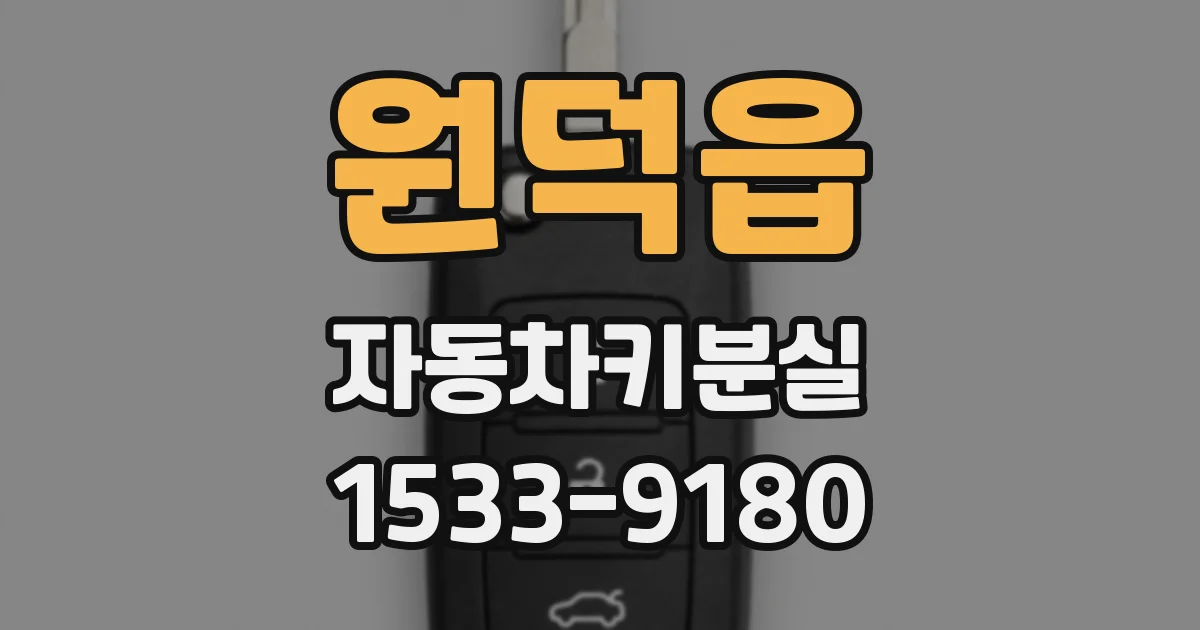 원덕읍 자동차키분실