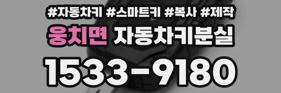 웅치면 자동차키분실