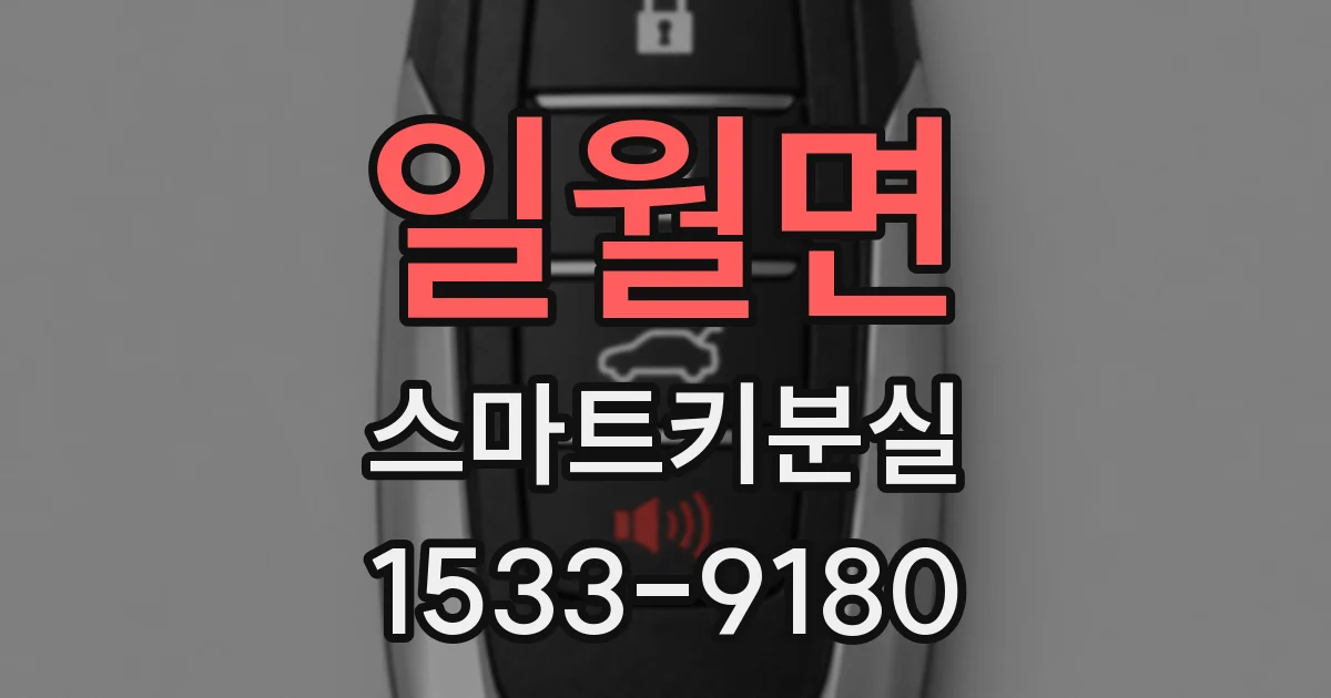 일월면 스마트키분실
