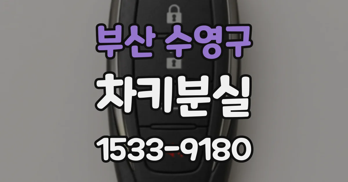 부산 수영구 차키분실