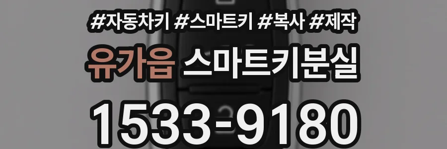 유가읍 스마트키분실
