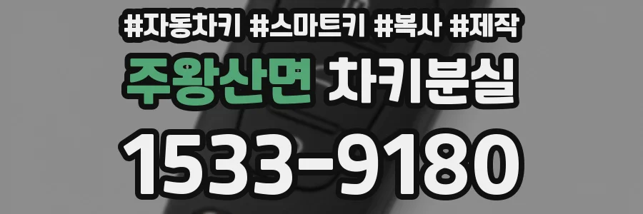 주왕산면 차키분실