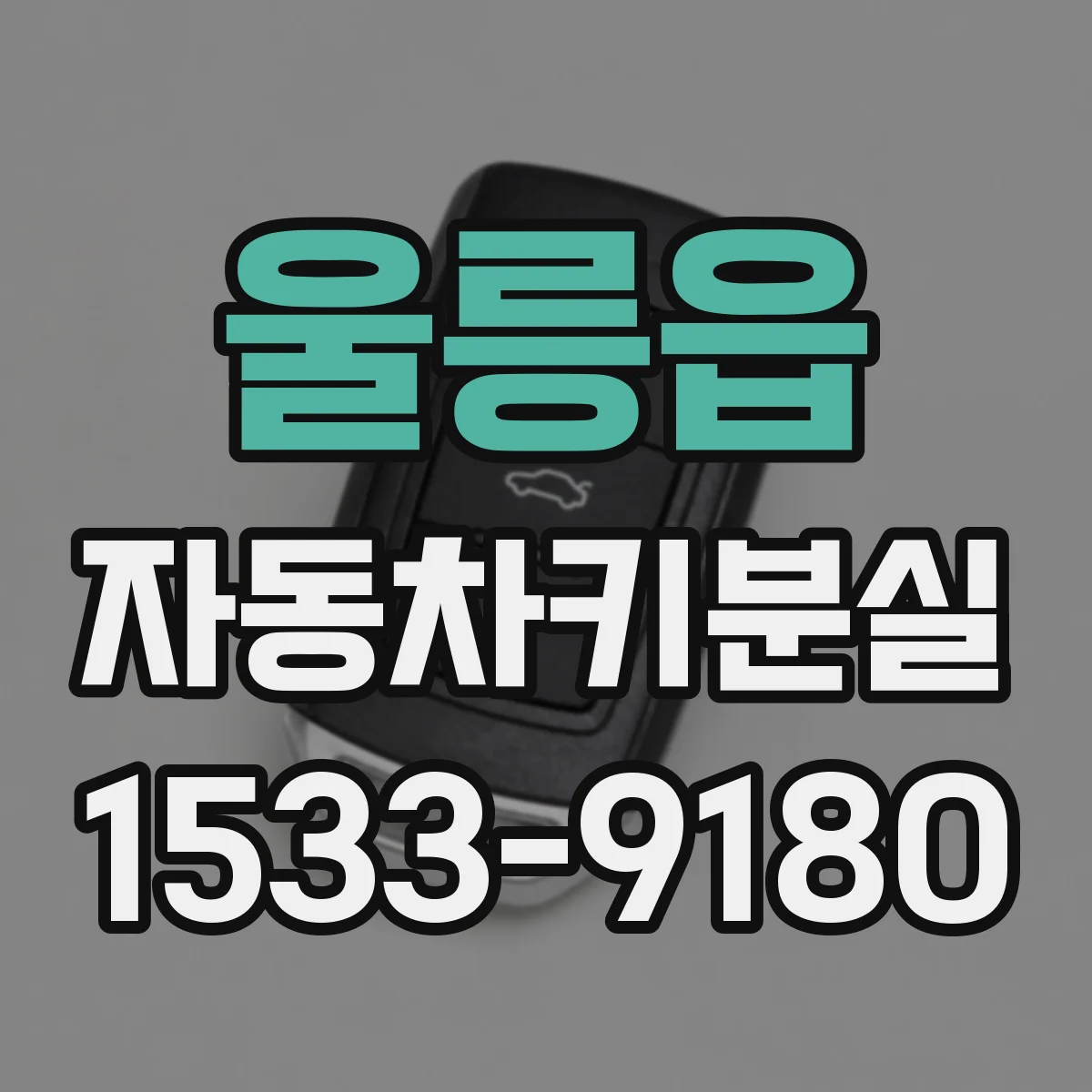 울릉읍 자동차키분실