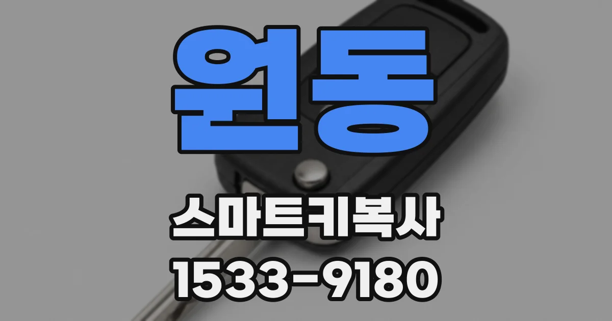 원동 스마트키복사