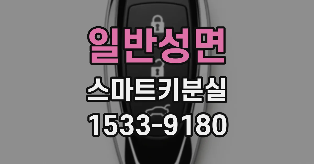 일반성면 스마트키분실
