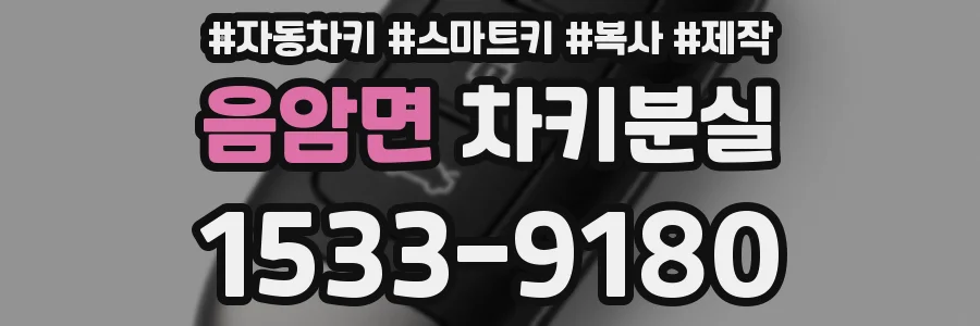 음암면 차키분실