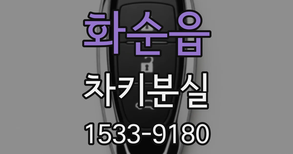 화순읍 차키분실