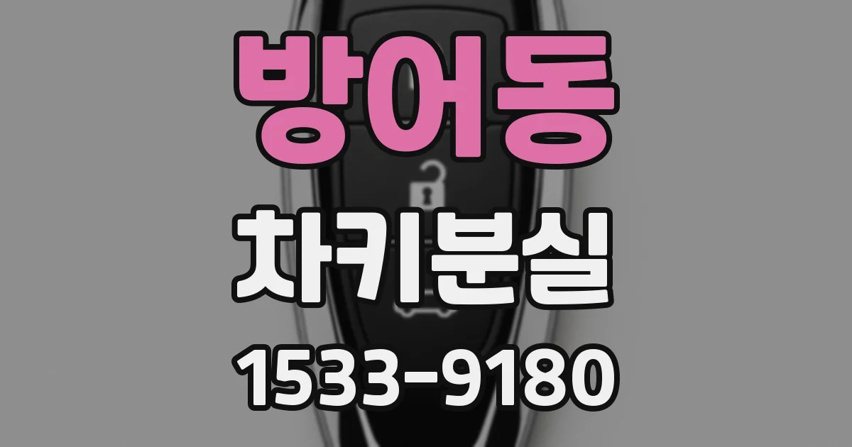 방어동 차키분실