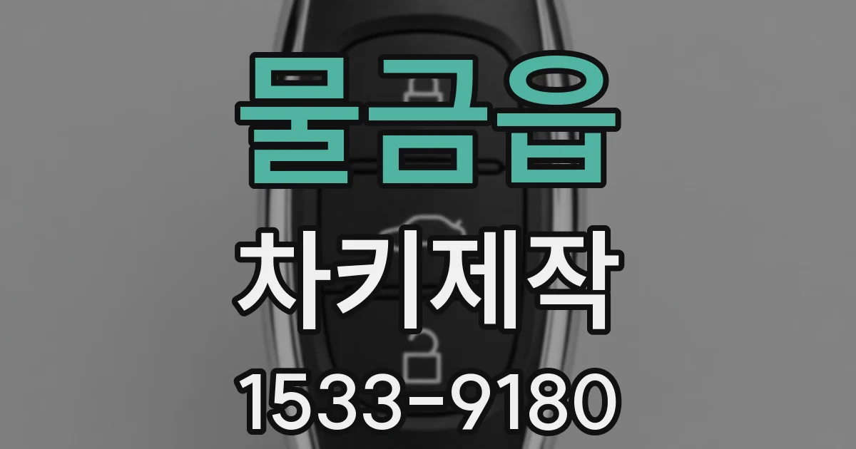물금읍 차키제작
