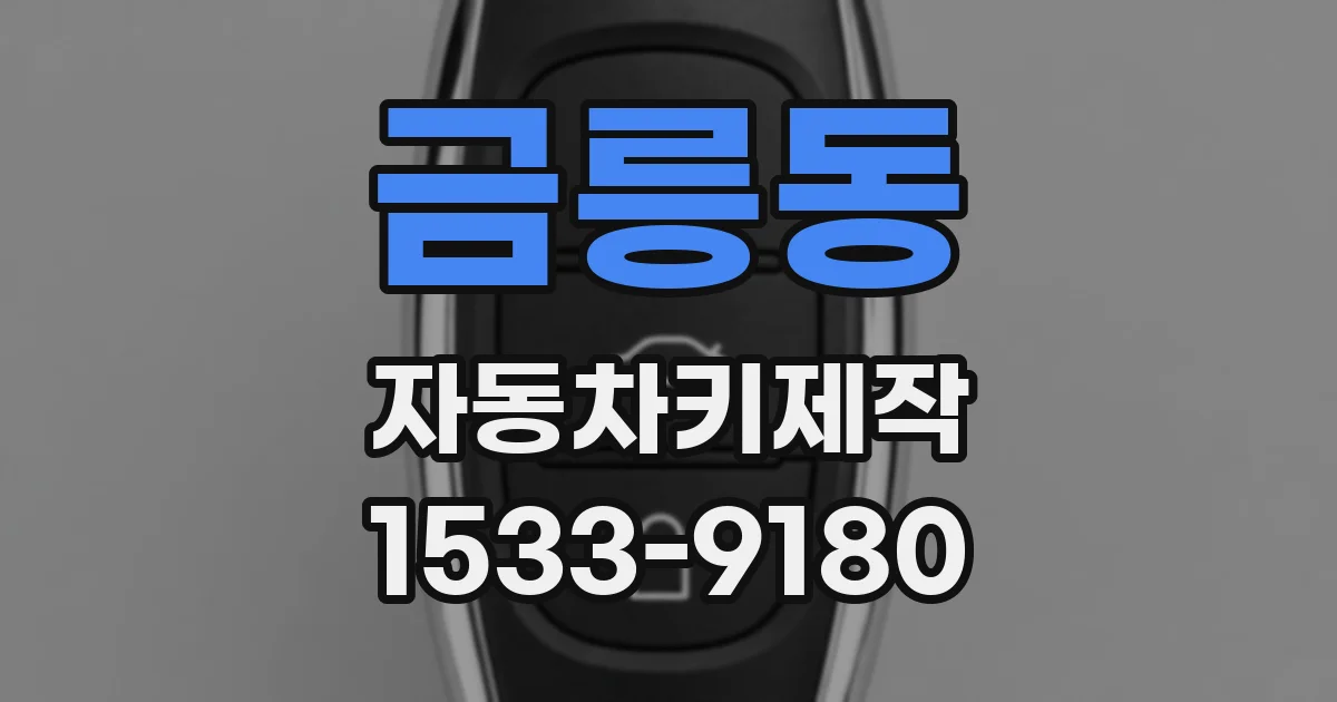 금릉동 자동차키제작
