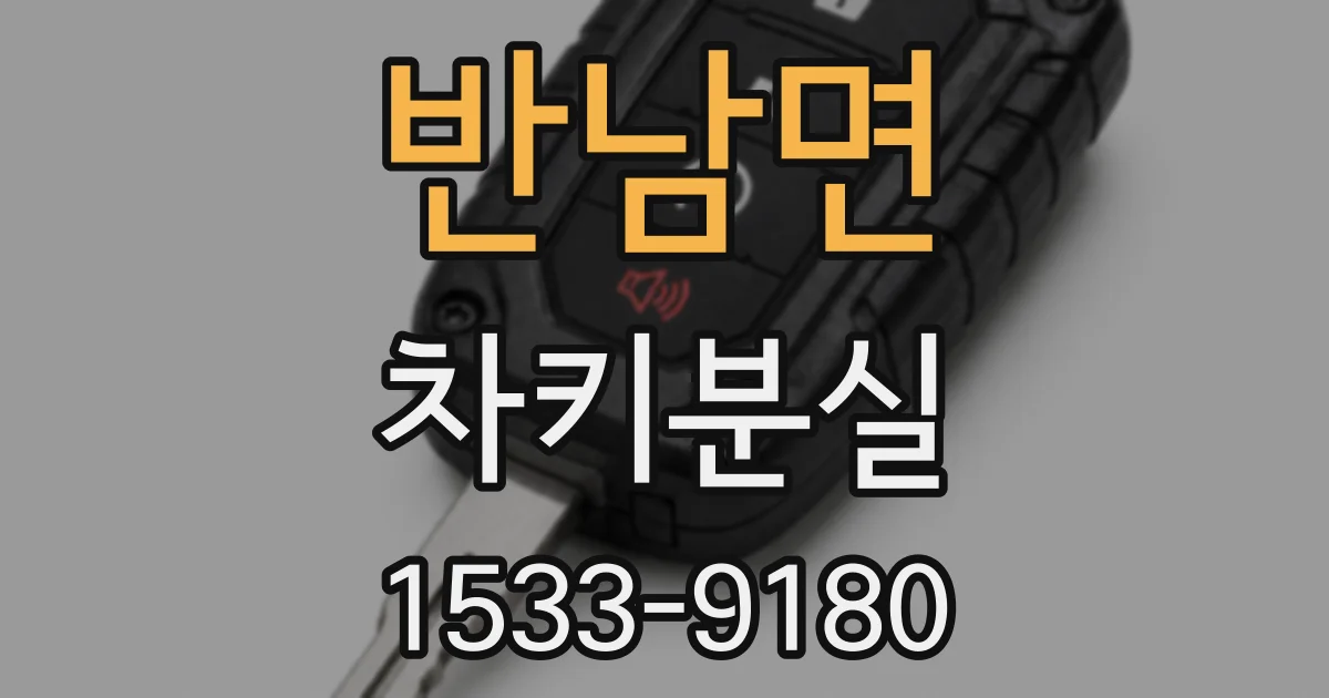 반남면 차키분실
