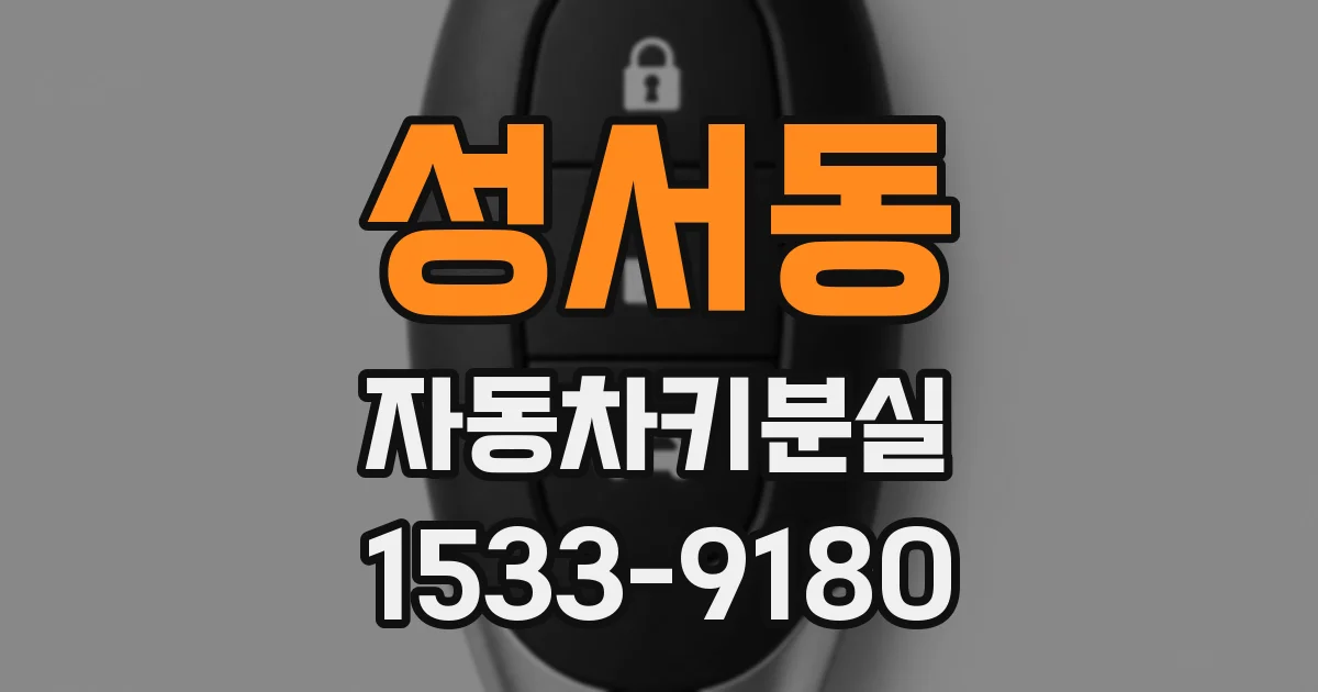 성서동 자동차키분실