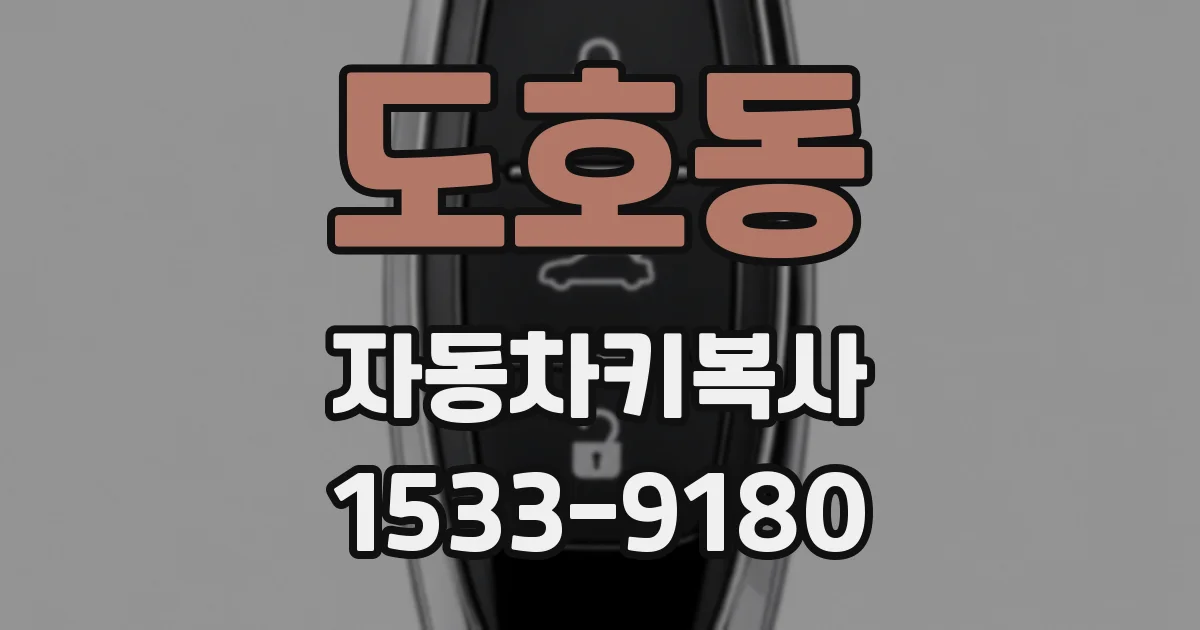 도호동 자동차키복사