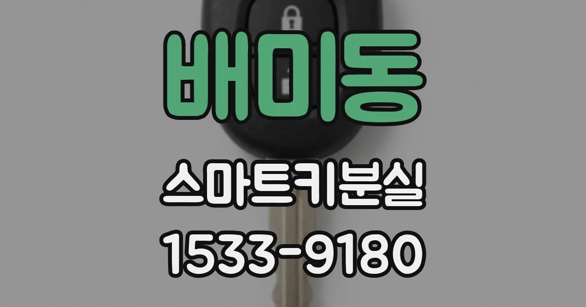 배미동 스마트키분실