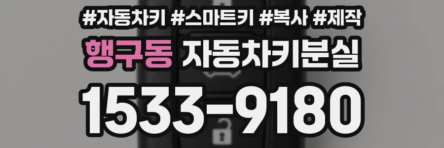 행구동 자동차키분실
