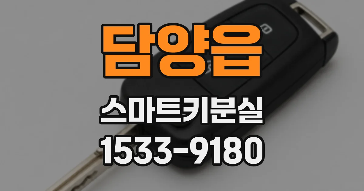 담양읍 스마트키분실