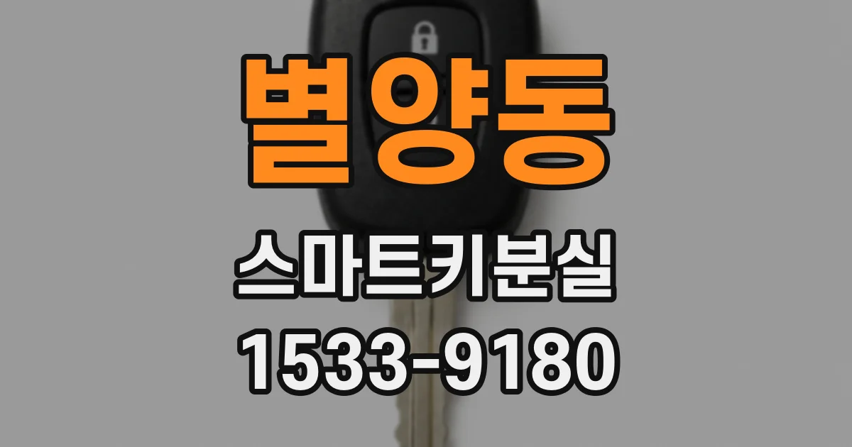 별양동 스마트키분실