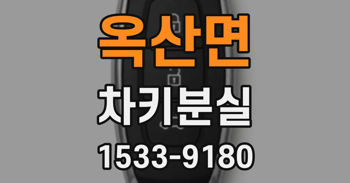 옥산면 차키분실