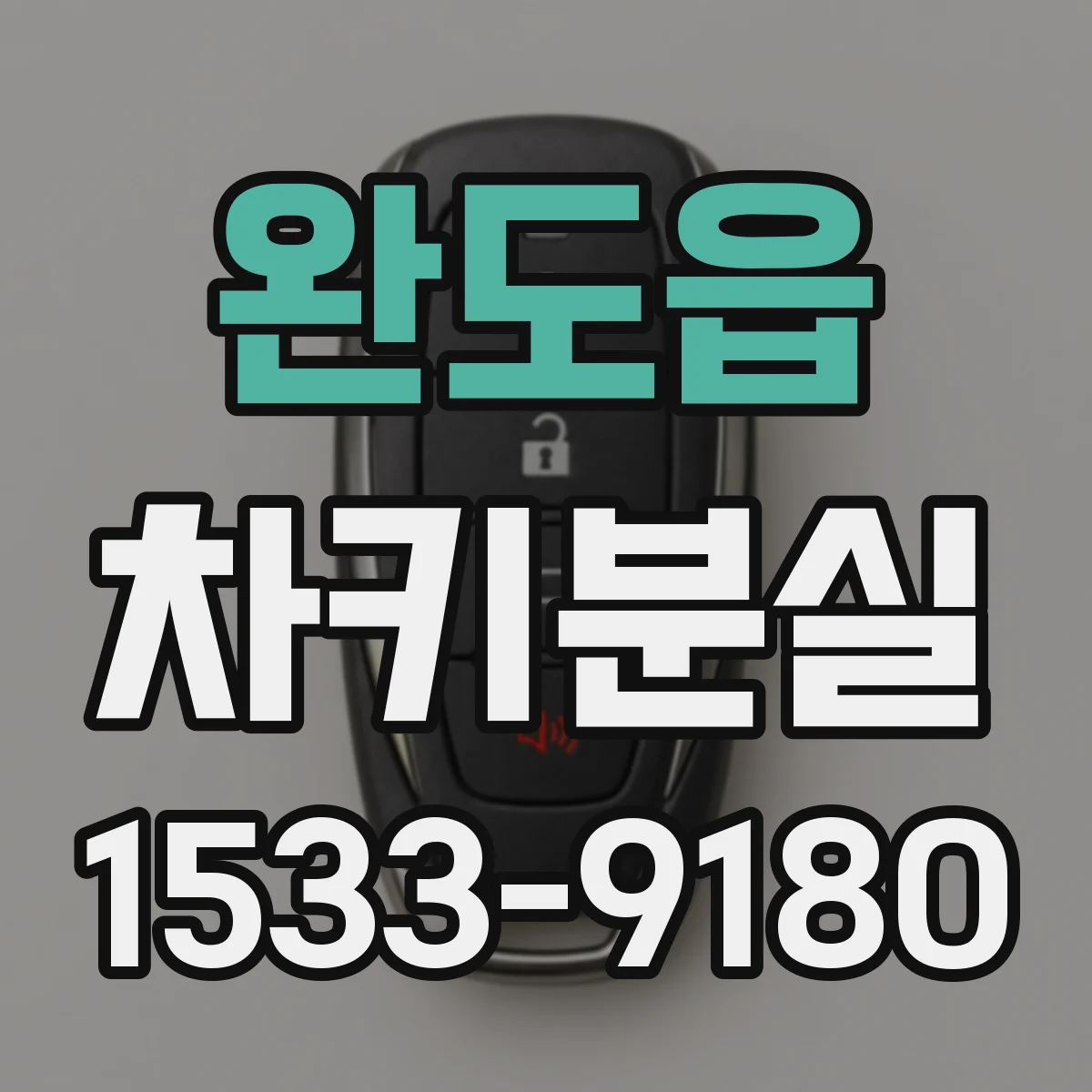 완도읍 차키분실