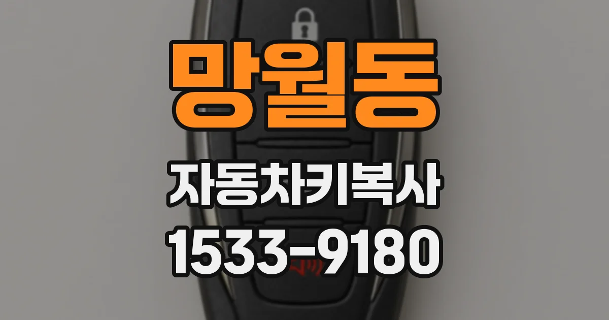망월동 자동차키복사
