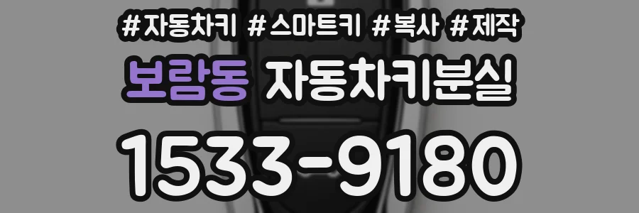 보람동 자동차키분실