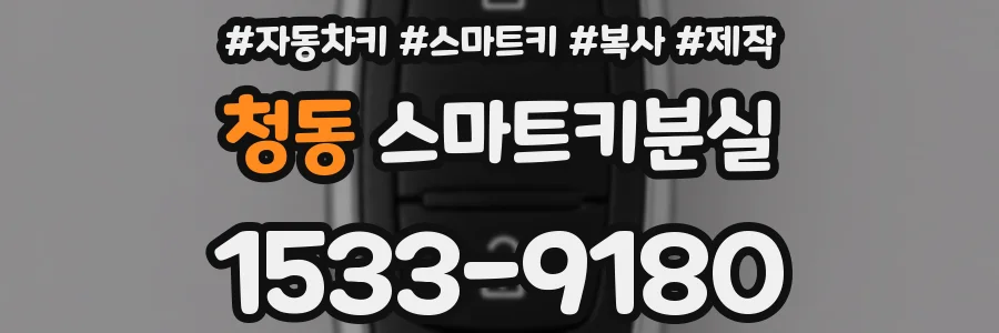 청동 스마트키분실