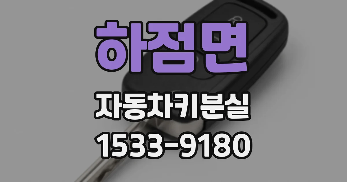 하점면 자동차키분실