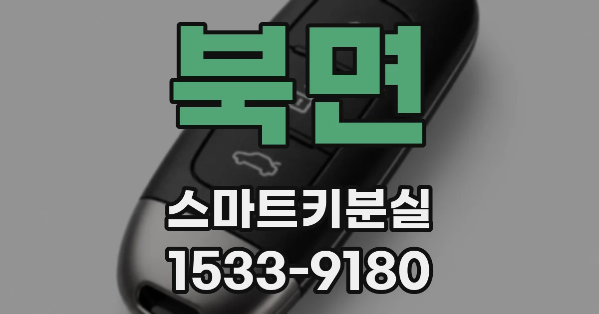북면 스마트키분실