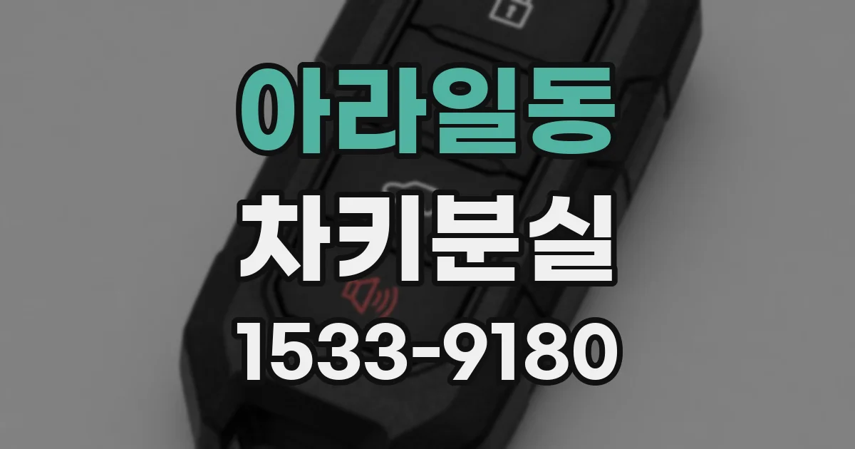 아라일동 차키분실