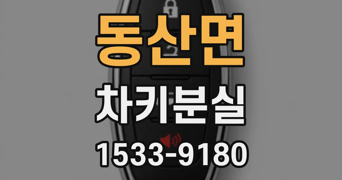 동산면 차키분실