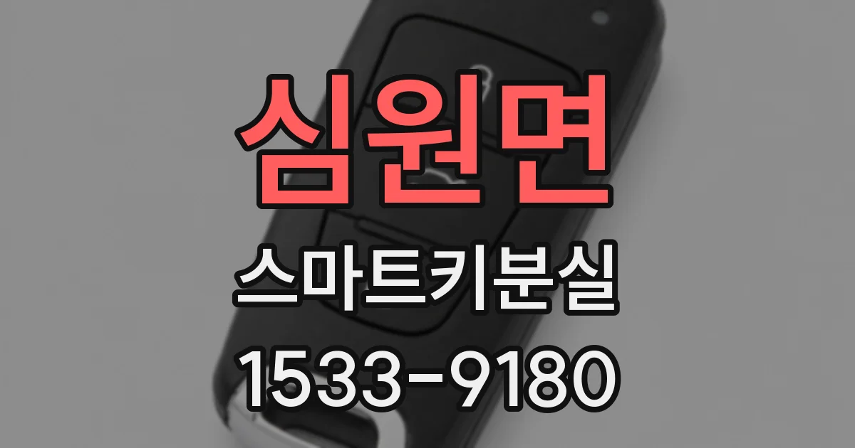 심원면 스마트키분실