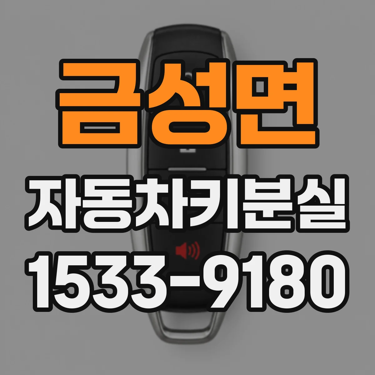 금성면 자동차키분실