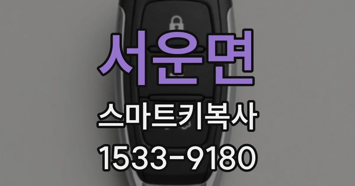 서운면 스마트키복사
