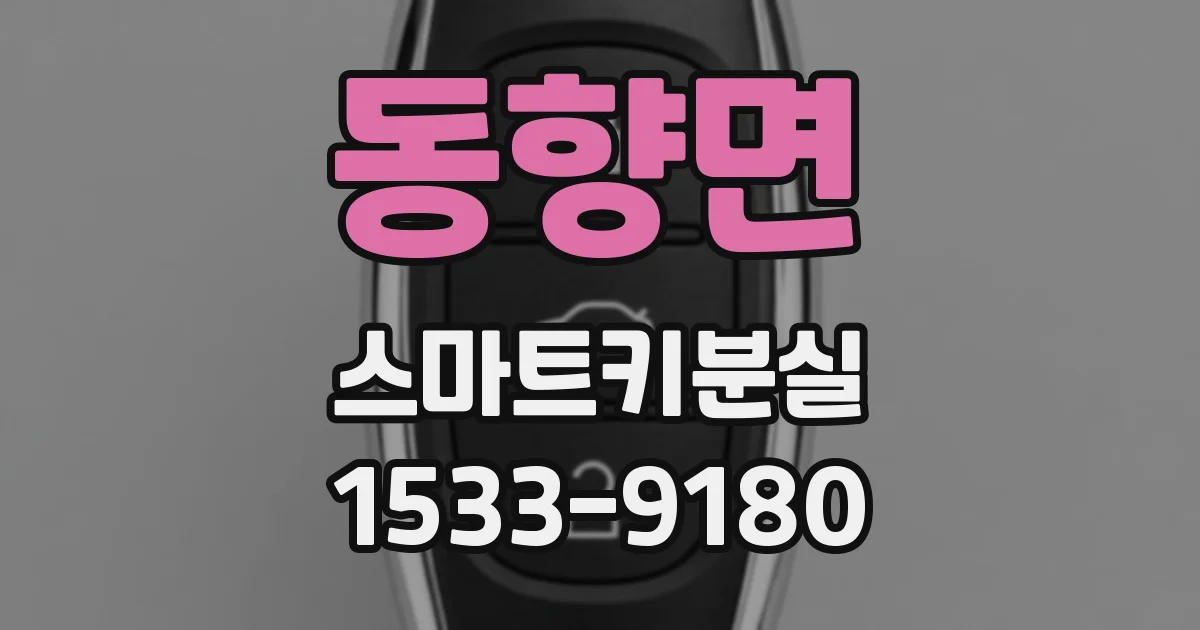 동향면 스마트키분실