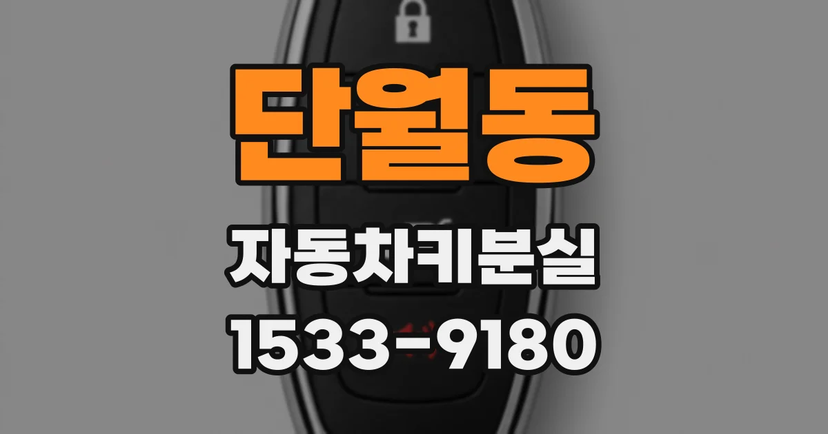 단월동 자동차키분실