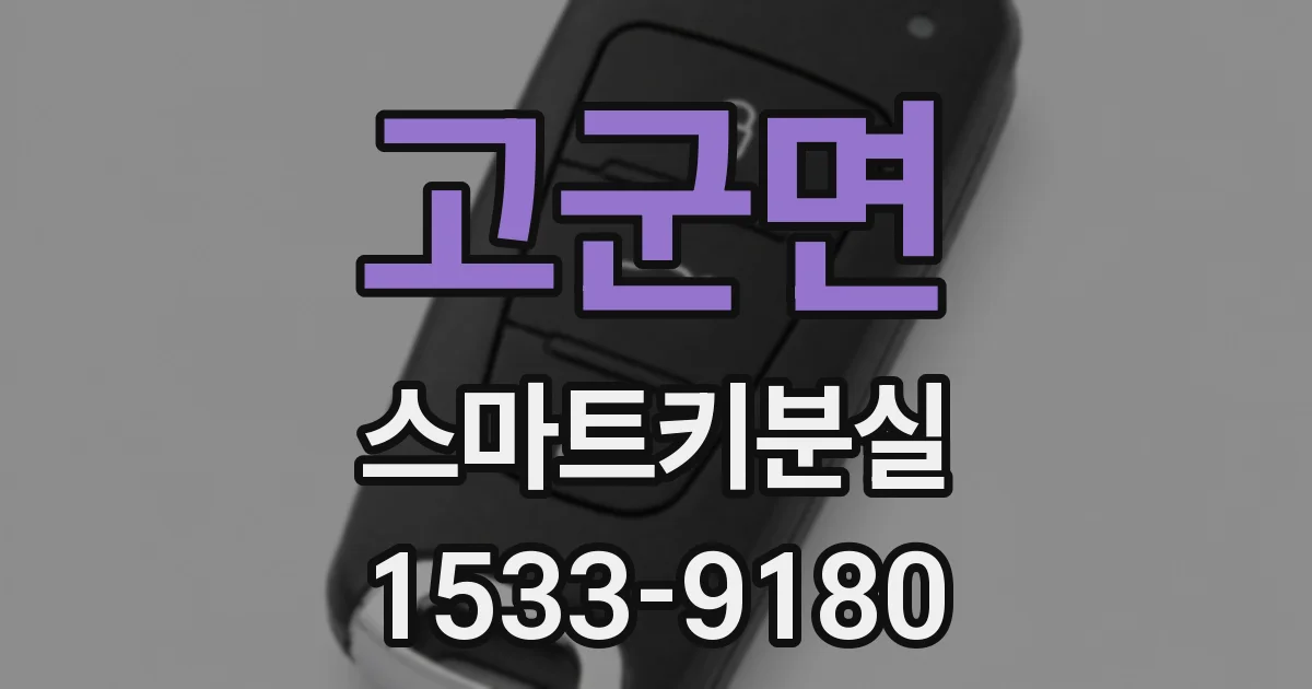 고군면 스마트키분실