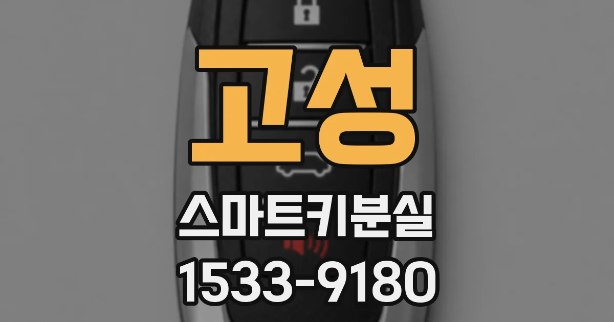 고성 스마트키분실