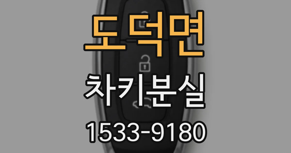 도덕면 차키분실