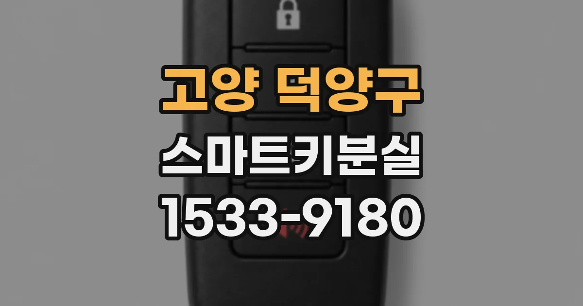고양 덕양구 스마트키분실