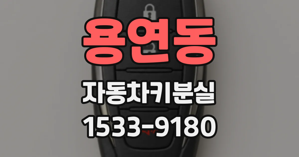 용연동 자동차키분실